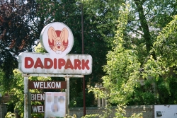 img > Dadipark