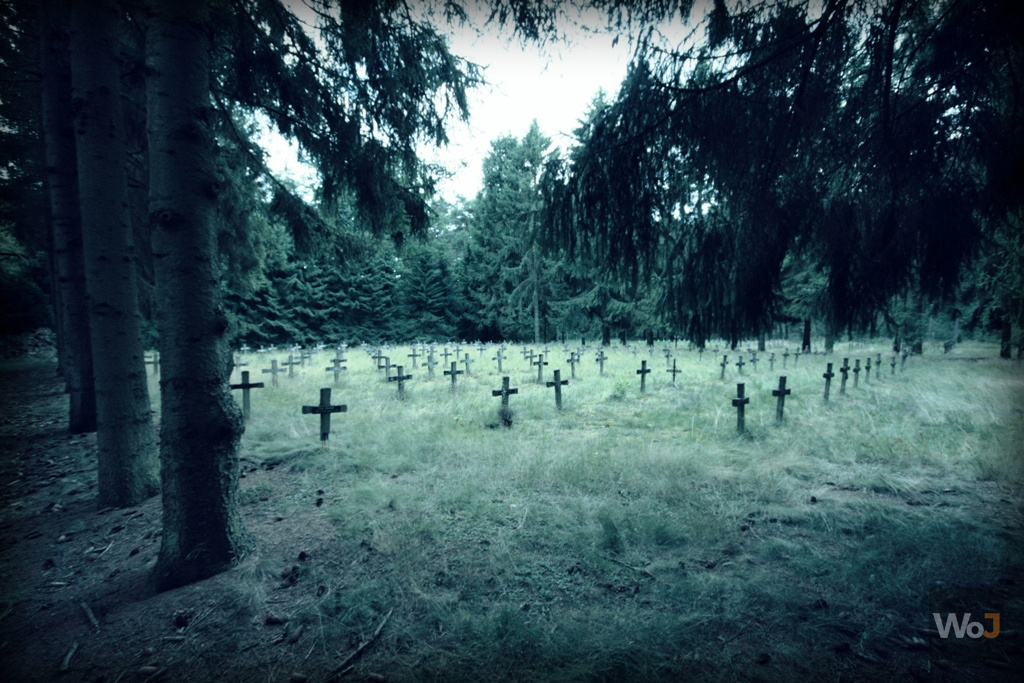 Cemetery of the Insane