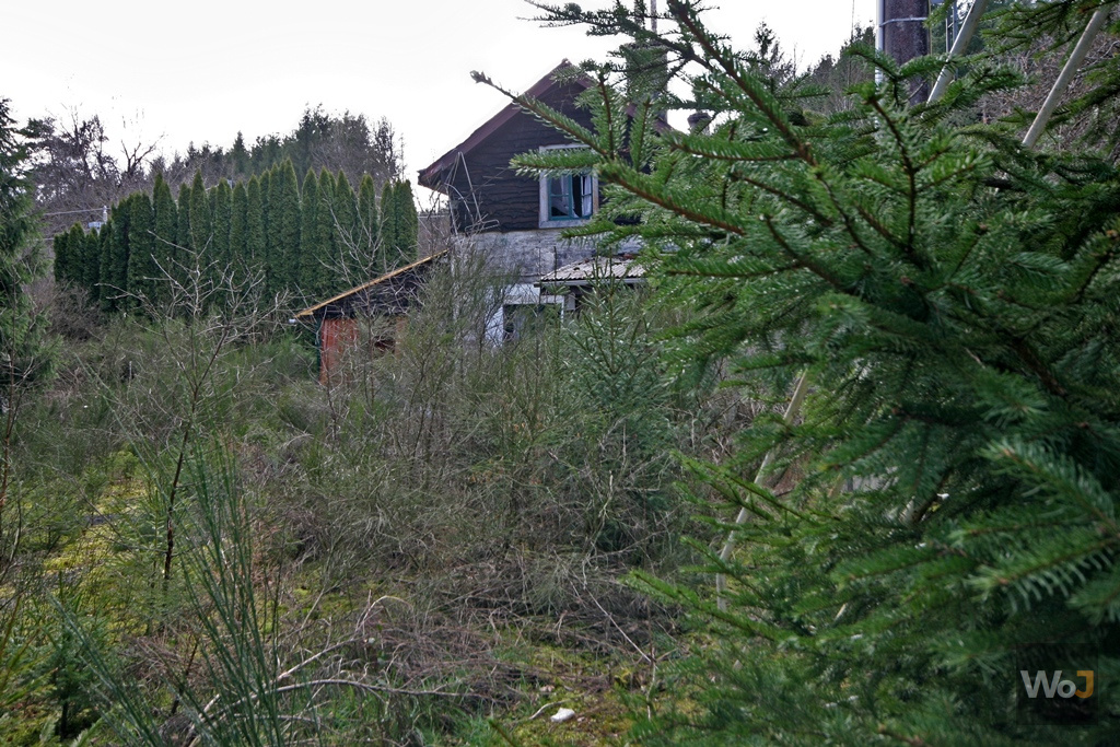 Maison Élephant / Squirell